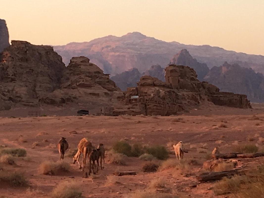 Real Bedouin Experience Tours & Camp. www.WadiRum-Jordan.com