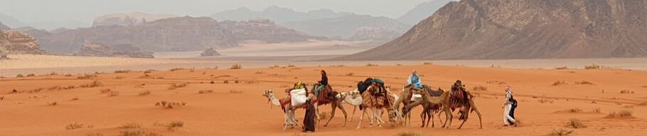  Wadi Rum camel tour - Real Bedouin Experience Tours & Camp